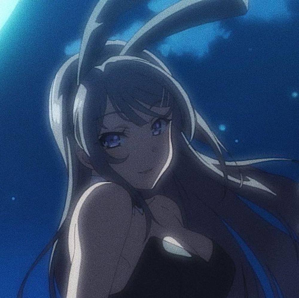 Meet your Posher, Ssardylis